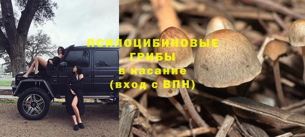 стаф Нягань