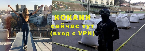 крисы Новокубанск